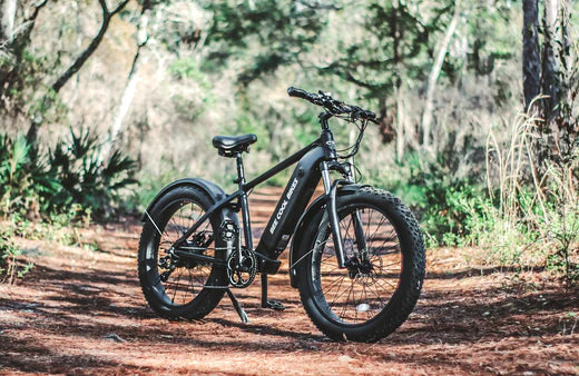 Where To Ride In Canada With Your E-bikes