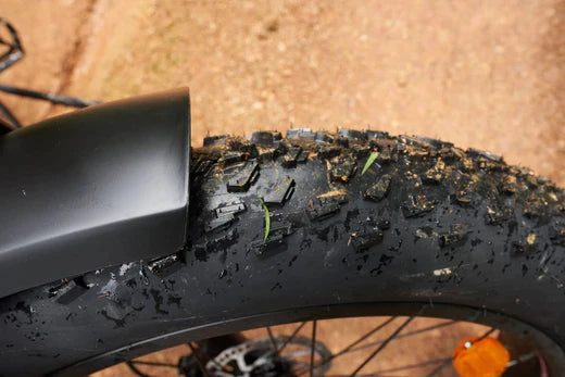 Analysis and Prevention of E-bikes’ Flat Tire Problem